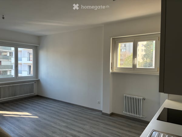 Appartamento 3.5 appena ristrutturato 2