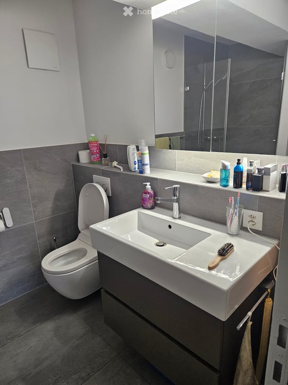 Sehr schöne Gartenwohnung, geräumig, hell, praktisch ner 4