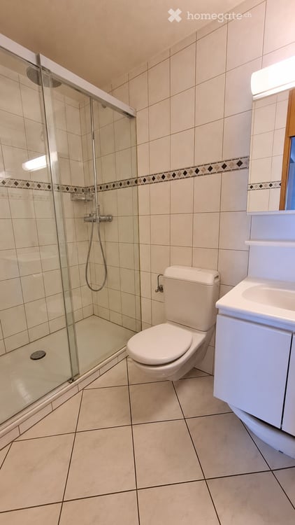 5.5-Zimmer-Wohnung in Visp zu vermieten 5