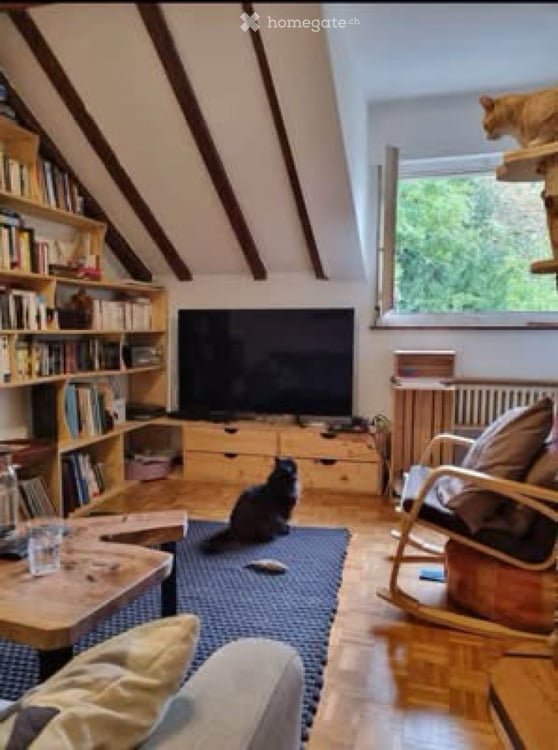 Magnifique, petit appartement, Genève 2
