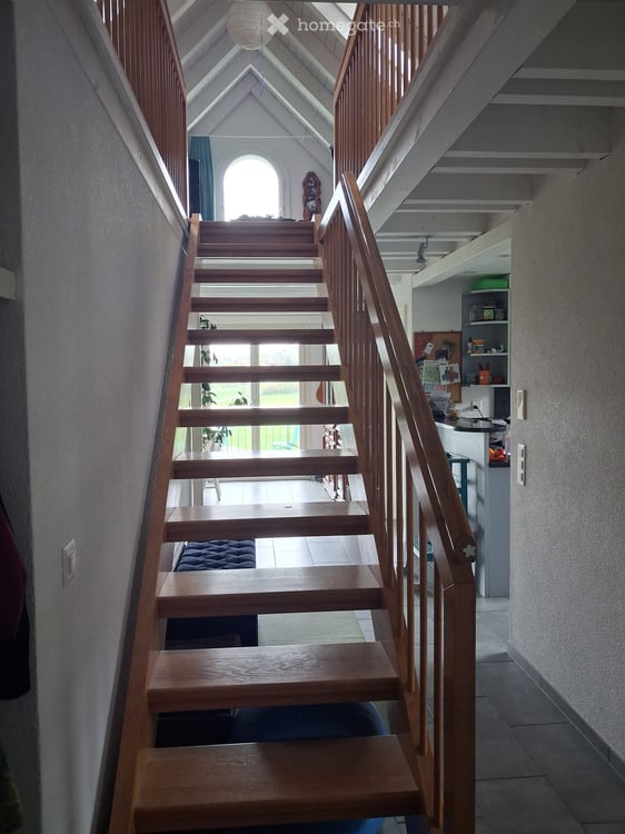 Mitbewohner-in gesucht 2