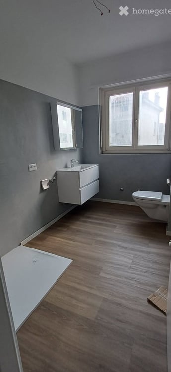Luminoso e ampio appartamento ristrutturato 1