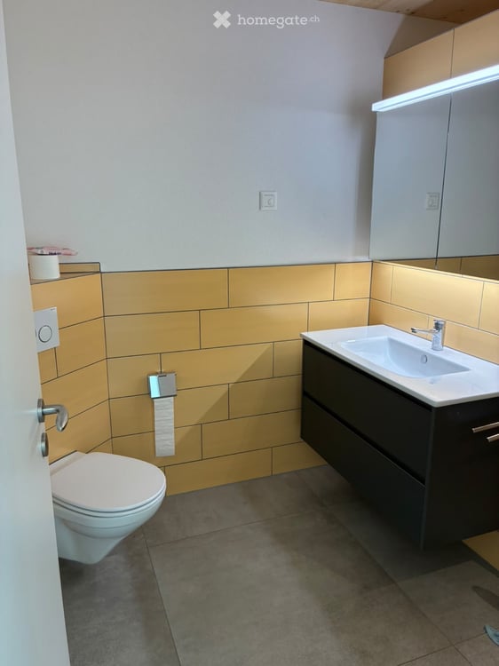 Moderne Doppelhaushälfte in Frauenfeld 3
