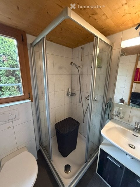 Einmaliges 1.5-Zimmerhaus im Grünen 5