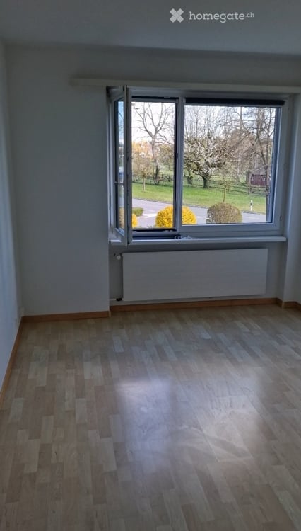 3.5 Wohnung in Schwerzenbach, suche Nachmieter 4