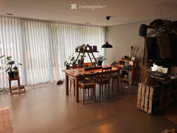 Wohnung im Sursee 1
