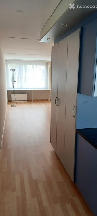 Zentrale und ruhige 1.5 Zimmer Wohnung in der Neustadt 4