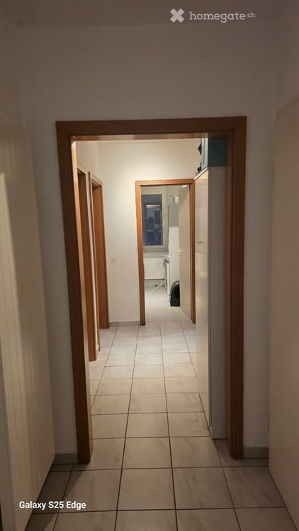 Cercasi subentrante Appartamento 5.5 7