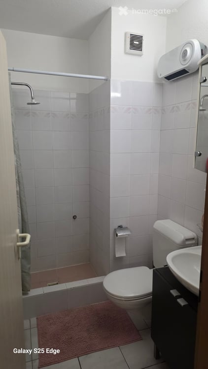 Cercasi subentrante Appartamento 5.5 6