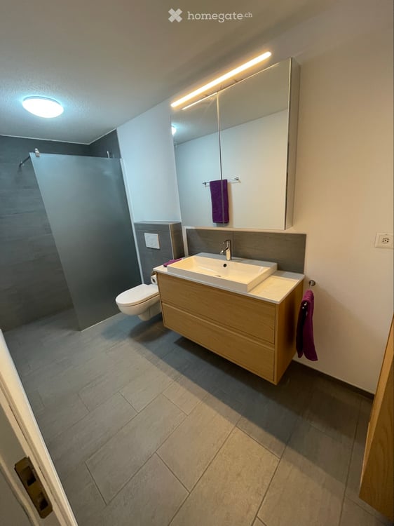 Neu renovierte 4.4-Zi-Whg. 3