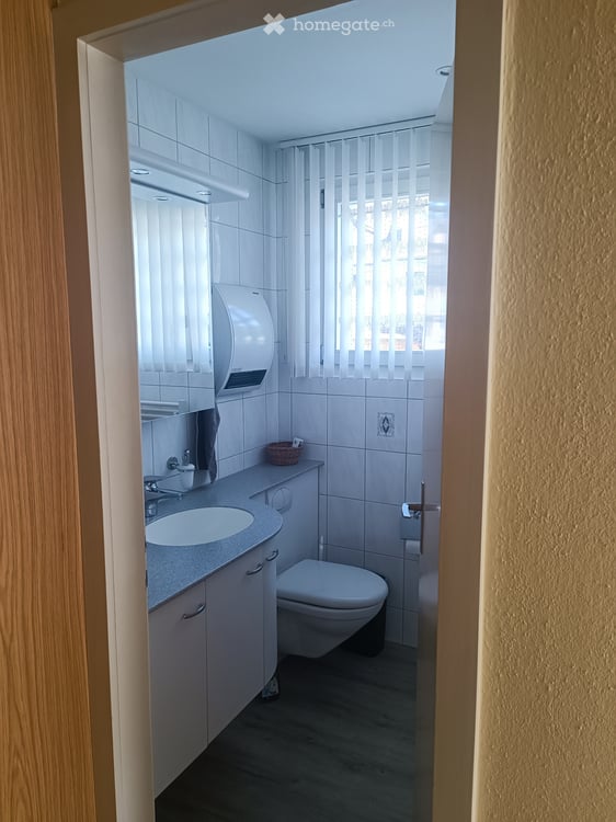 Freistehendes Haus mit Garten. Gewerbliche Nutzung möglich 3