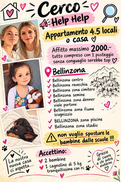 Cerchiamo 15