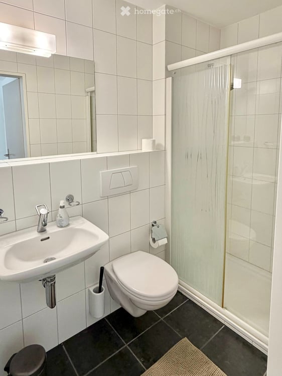 Befristet, möbliert: 4.5 Zimmer mit Cheminée in Forch 10