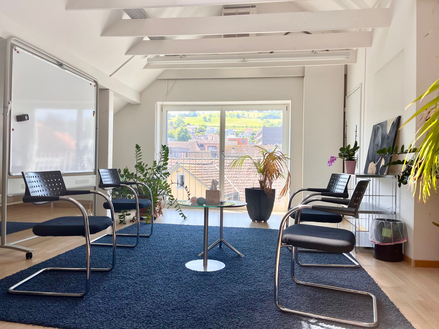 Spacious office space with large windows overlooking a scenic view, modern furniture including black chairs and a glass-top table, and various potted plants decorating the room.