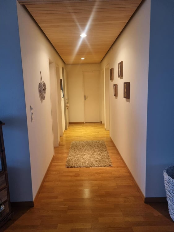 3.5 Zimmerwohnung in Wädenswil 7