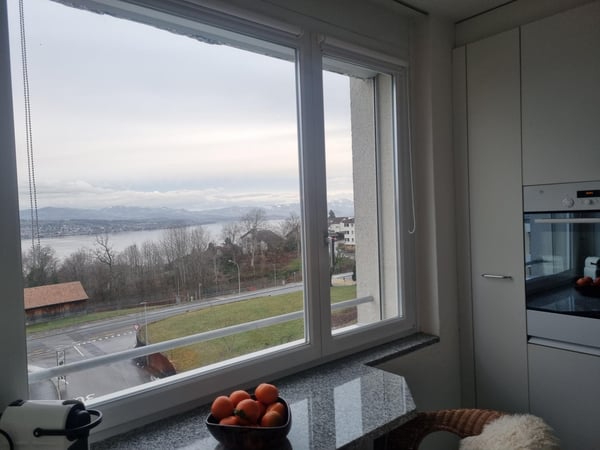 3.5 Zimmerwohnung in Wädenswil 6