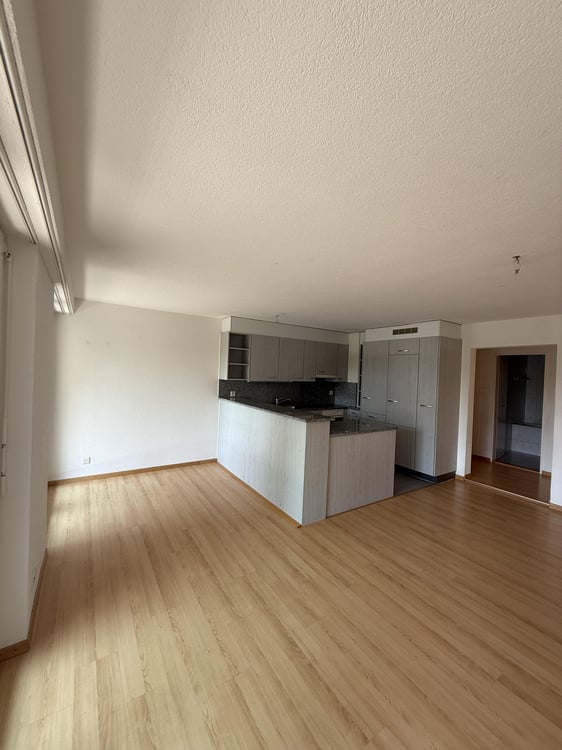3-Zimmerwohnung in Zürich 3