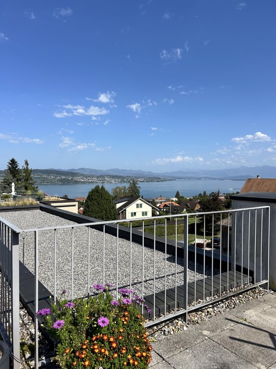 4.5 Zimmerwohnung in Wädenswil (befristet bis 31.03.2028)