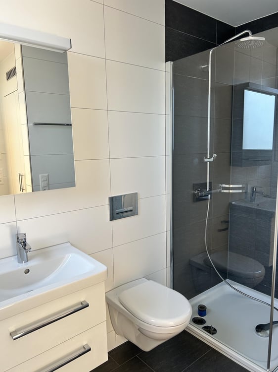 4.5 Zimmerwohnung in Wädenswil (befristet bis 31.03.2028) 10