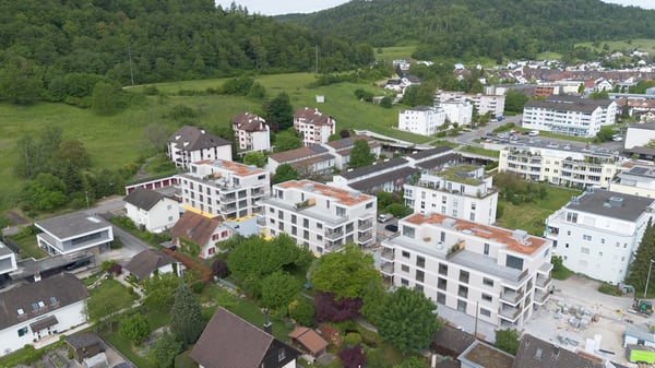Erstvermietung: Traumhafte 2.5-Zi-Neubau-Attika mit 67 m² Terrasse und Weitsicht 10