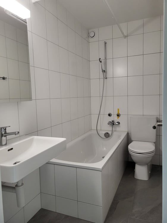 Helle neu sanierte 2.5 Zimmerwohnung! 7