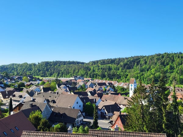 Modernes Neubauprojekt an attraktiver Hanglage von Glattfelden – Wohnen im Grünen mit Komfort 2