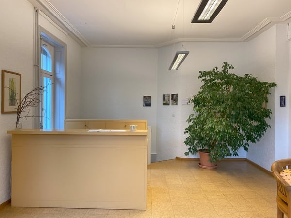Grosszügige Büro- / Praxisfläche zu vermieten 1