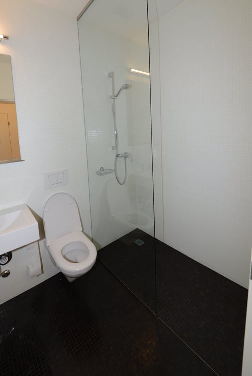 Exklusive 4.5-Zi-Wohnung an ruhiger Lage im schönen Gellert-Quartier 6