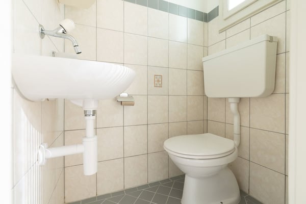 Schönes 4-Zimmer-Reiheneinfamilienhaus in Basel 3