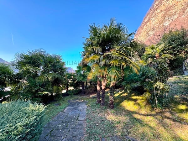 Interessante grande terreno pianeggiante con molto potenziale 3