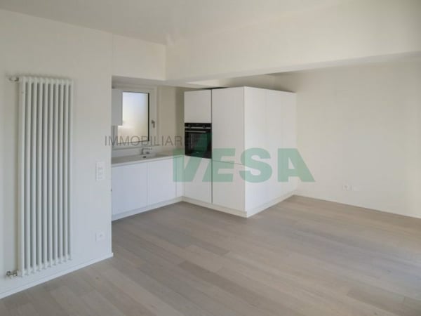 Splendido attico di 4,5 locali con spettacolare vista lago 6