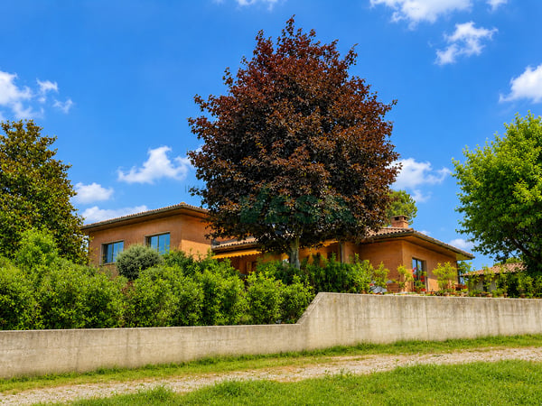 Elegante e spaziosa villa con appartamento bilocale e grande giardino 1