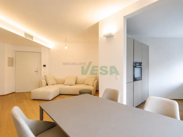 Bel appartamento moderno 2,5 locali ammobiliato e centralissimo 3
