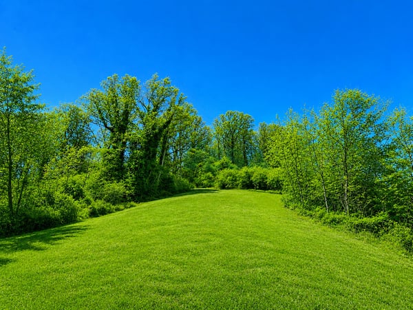Bel terreno edificabile pianeggiante in zona tranquilla nel verde 4