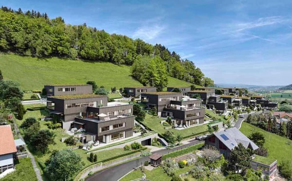 Traumhafte Fernsicht auf Alpstein mit Säntis und Churfirsten - 1.5-Zi.-Terrassenhaus 3