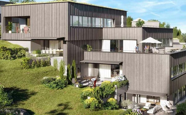 Traumhafte Fernsicht auf Alpstein mit Säntis und Churfirsten - 1.5-Zi.-Terrassenhaus 8