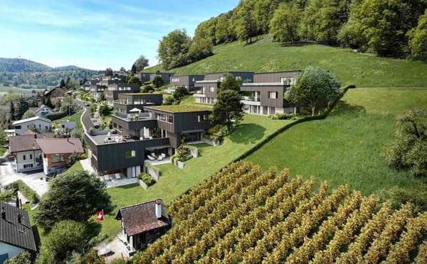 Traumhafte Fernsicht auf Alpstein mit Säntis und Churfirsten - 1.5-Zi.-Terrassenhaus 2