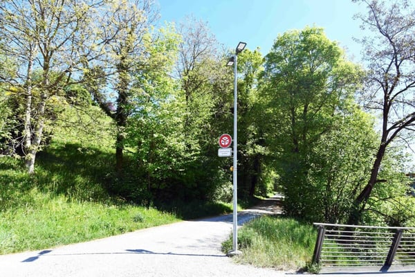 5.5-Zi.-Eigentumswohnung angrenzend an das Naherholungsgebiet | Wald 10