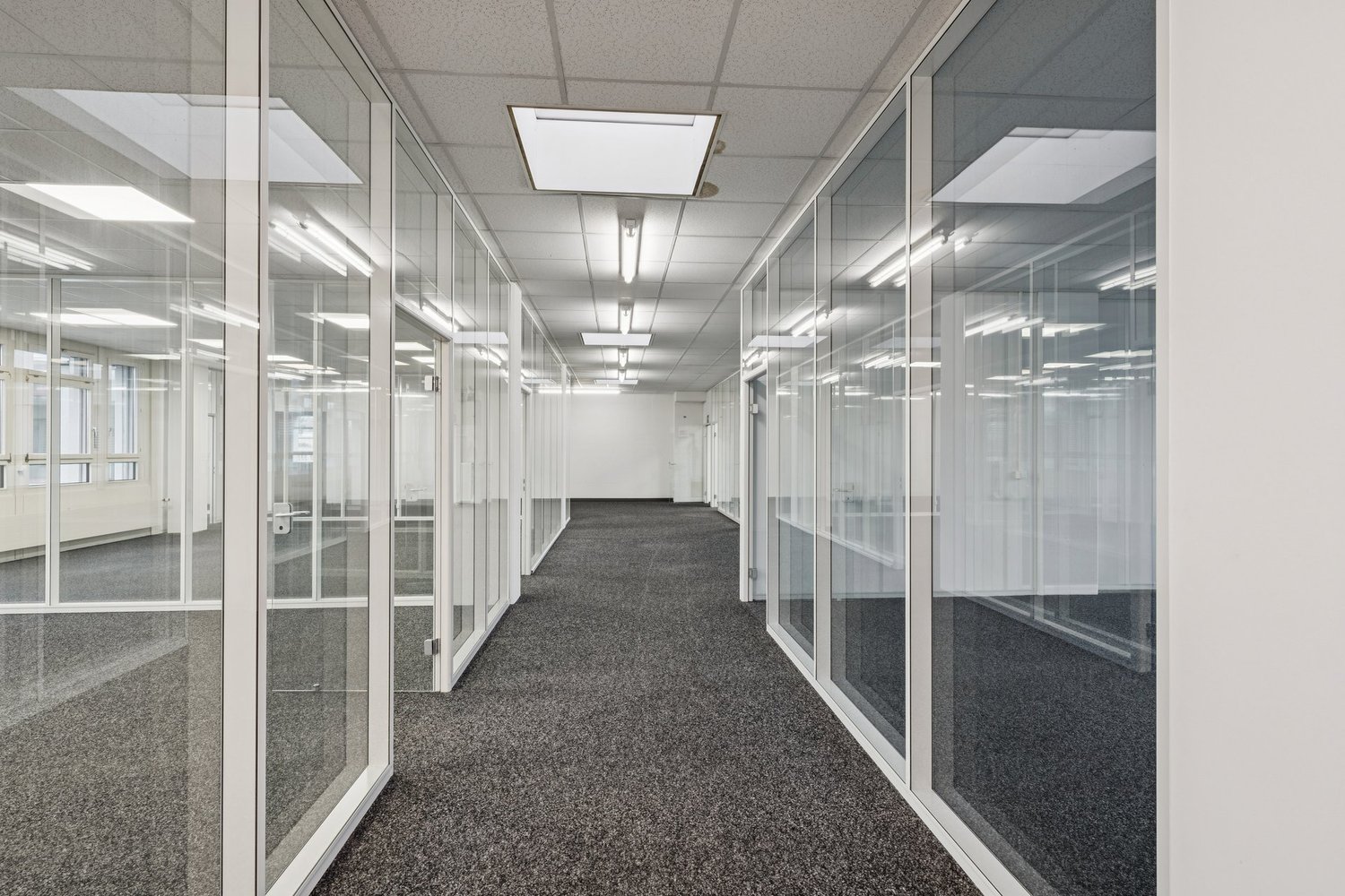 An empty, modern office space with glass walls and doors, and a gray carpet.