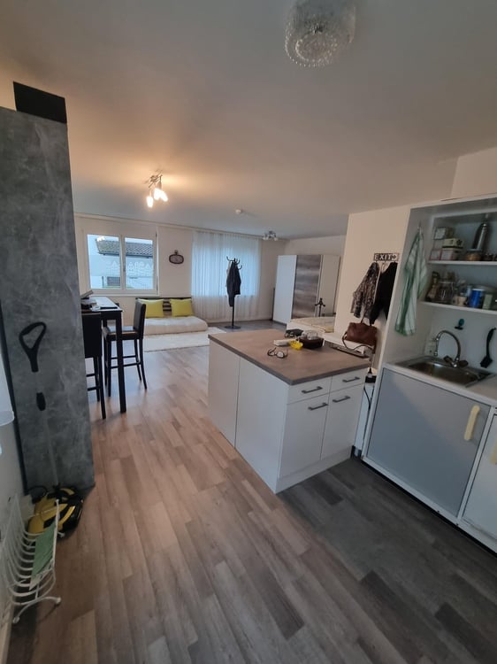 Charmantes Studio an attraktiver Lage in Pfäffikon SZ 3