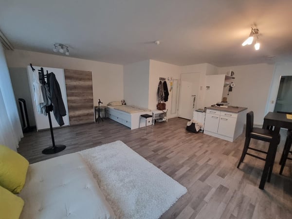 Charmantes Studio an attraktiver Lage in Pfäffikon SZ 2