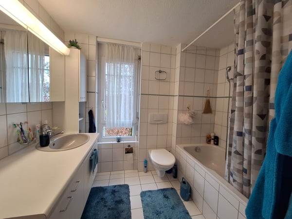 Helle und geräumige 1.5-Zimmerwohnung in naturnaher Lage 6