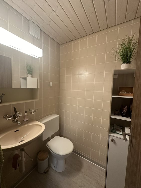Wohnen im Grünen und trotzdem stadtnah 7
