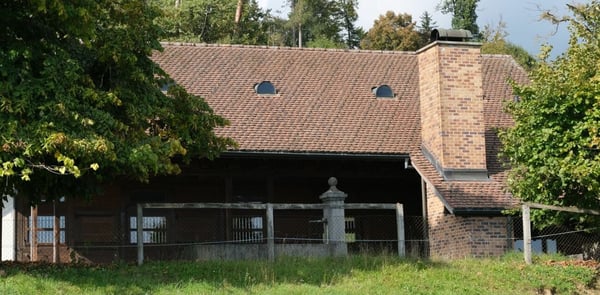 Traumhaftes Bauland-Grundstück in Hägendorf am Jurasüdfuss 10