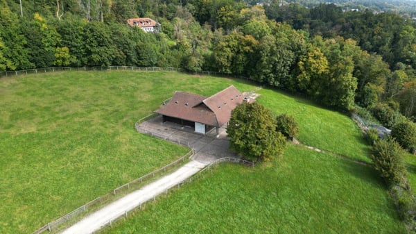 Traumhaftes Bauland-Grundstück in Hägendorf am Jurasüdfuss 3