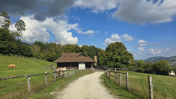 Traumhaftes Bauland-Grundstück in Hägendorf am Jurasüdfuss 7