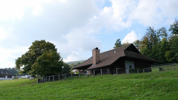 Traumhaftes Bauland-Grundstück in Hägendorf am Jurasüdfuss 8