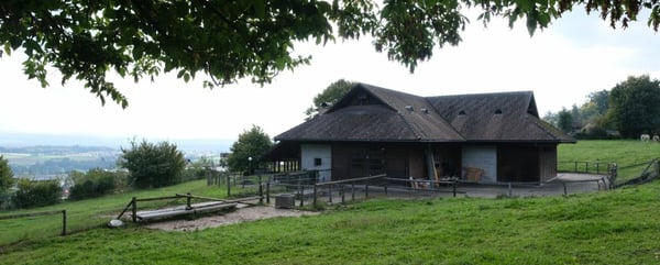 Traumhaftes Bauland-Grundstück in Hägendorf am Jurasüdfuss 9