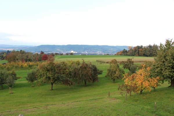 Bauland mit traumhafter Aussicht auf die Hügellandschaft des Thurgaus 6