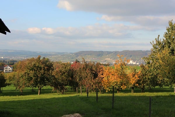 Bauland mit traumhafter Aussicht auf die Hügellandschaft des Thurgaus 7